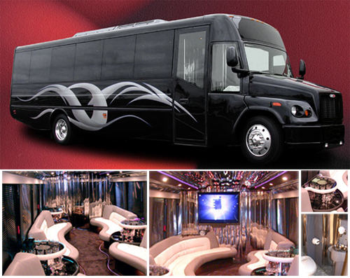 Custom Buses