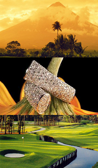 We've satisfied elite clients from all over the world with a complete range of luxury services.