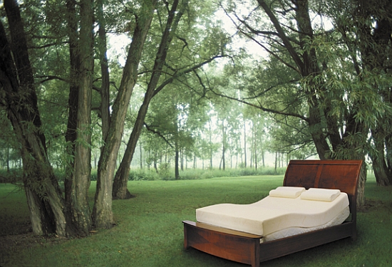TEMPURÃ‚Â® Adjustable Sleep Systems