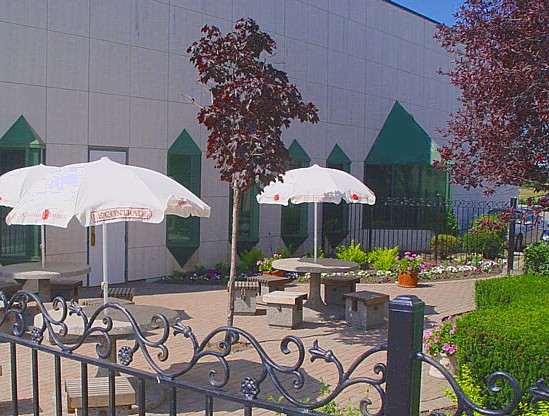 Spacious Outdoor Patio