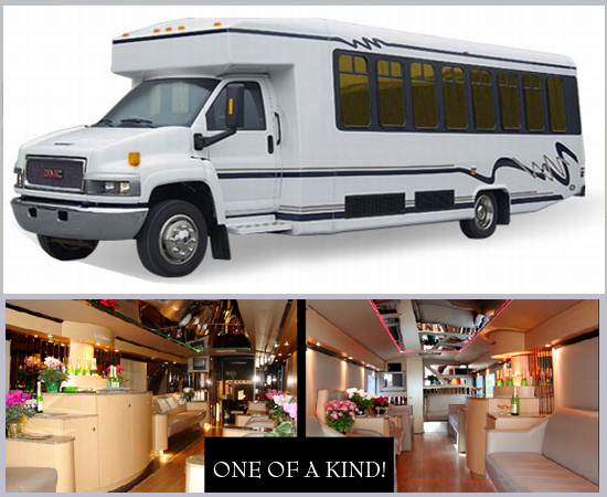Luxury Wedding Limo Bus